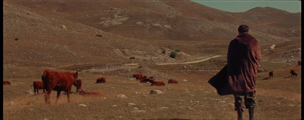 Still from Kan Muftic's directorial work — a lone figure crossing a vast landscape.